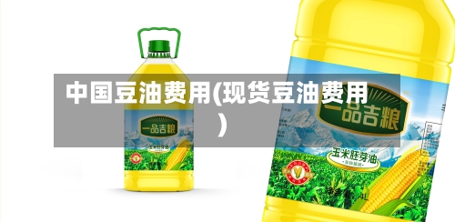 中国豆油费用(现货豆油费用)
