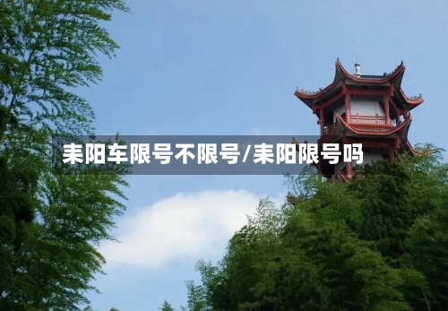 耒阳车限号不限号/耒阳限号吗-第2张图片