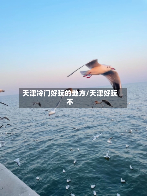 天津冷门好玩的地方/天津好玩不