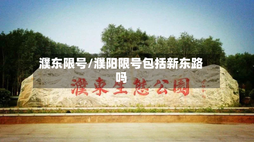 濮东限号/濮阳限号包括新东路吗