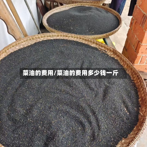 菜油的费用/菜油的费用多少钱一斤