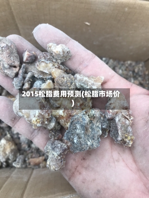 2015松脂费用预测(松脂市场价)-第3张图片