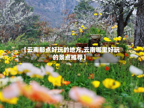 【云南那点好玩的地方,云南哪里好玩的景点推荐】