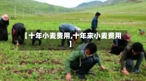 【十年小麦费用,十年来小麦费用】-第2张图片