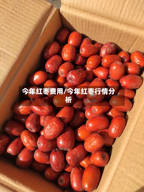 今年红枣费用/今年红枣行情分析-第2张图片
