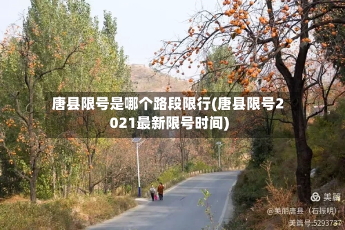唐县限号是哪个路段限行(唐县限号2021最新限号时间)-第2张图片