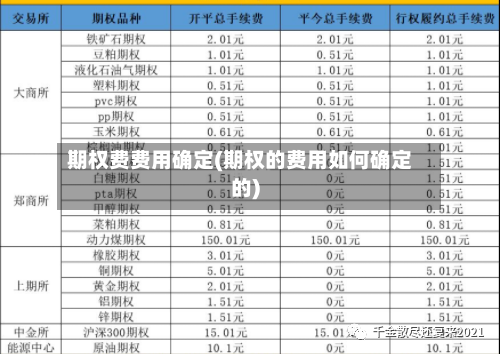期权费费用确定(期权的费用如何确定的)