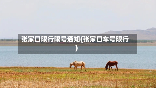 张家口限行限号通知(张家口车号限行)-第2张图片