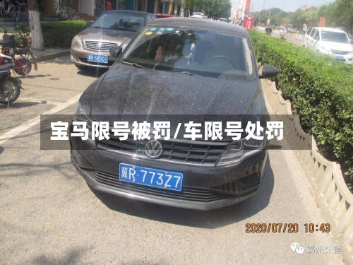 宝马限号被罚/车限号处罚