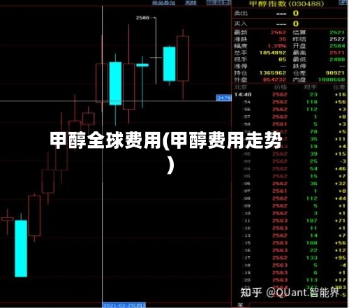 甲醇全球费用(甲醇费用走势)
