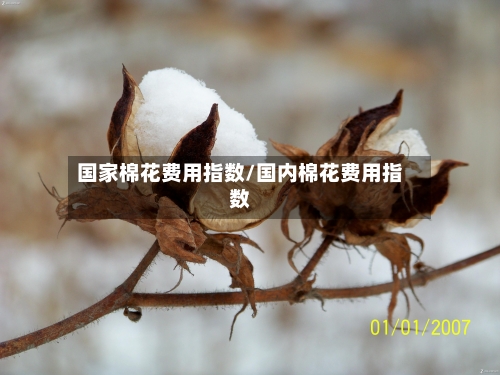 国家棉花费用指数/国内棉花费用指数-第3张图片