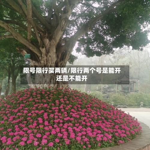 限号限行买两辆/限行两个号是能开还是不能开