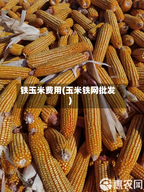 铁玉米费用(玉米铁网批发)