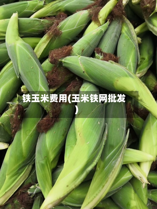 铁玉米费用(玉米铁网批发)-第2张图片