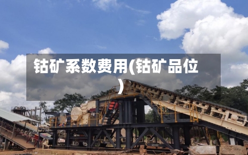 钴矿系数费用(钴矿品位)-第2张图片