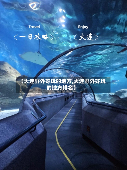 【大连野外好玩的地方,大连野外好玩的地方排名】-第2张图片