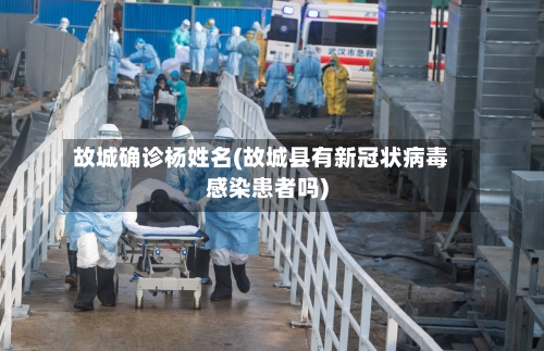 故城确诊杨姓名(故城县有新冠状病毒感染患者吗)-第2张图片