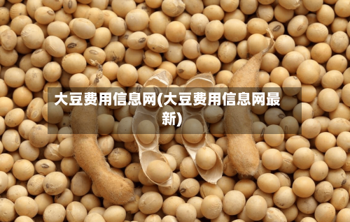 大豆费用信息网(大豆费用信息网最新)-第2张图片