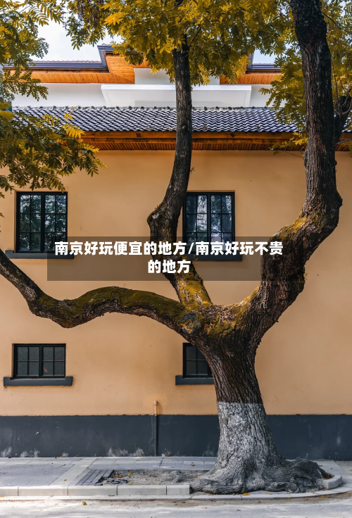 南京好玩便宜的地方/南京好玩不贵的地方