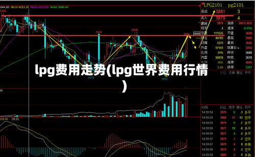 lpg费用走势(lpg世界费用行情)