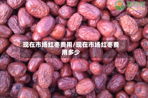 现在市场红枣费用/现在市场红枣费用多少