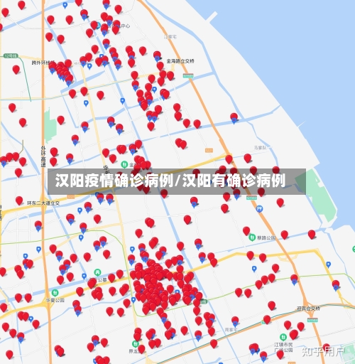 汉阳疫情确诊病例/汉阳有确诊病例