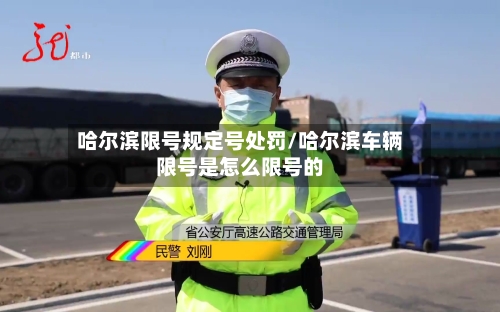 哈尔滨限号规定号处罚/哈尔滨车辆限号是怎么限号的-第2张图片