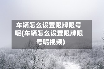 车辆怎么设置限牌限号呢(车辆怎么设置限牌限号呢视频)-第2张图片