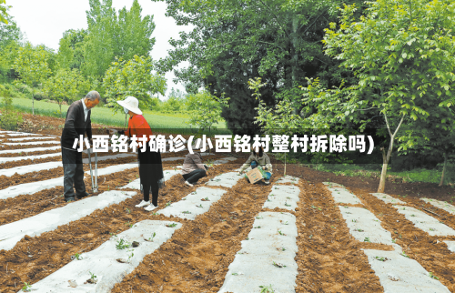 小西铭村确诊(小西铭村整村拆除吗)