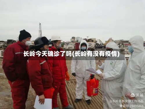 长岭今天确诊了吗(长岭有没有疫情)