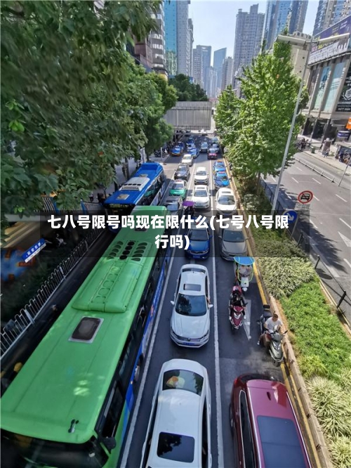 七八号限号吗现在限什么(七号八号限行吗)-第2张图片