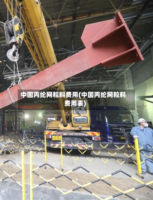 中国丙纶网粒料费用(中国丙纶网粒料费用表)
