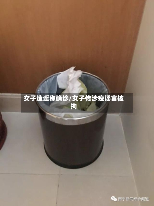 女子造谣称确诊/女子传涉疫谣言被拘