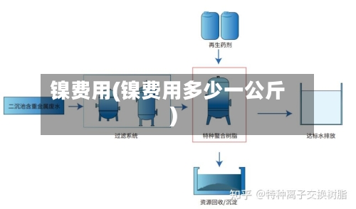 镍费用(镍费用多少一公斤)