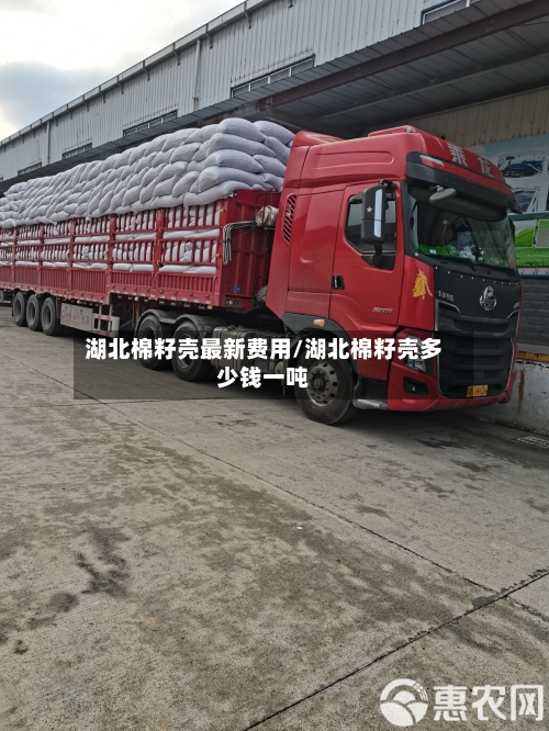 湖北棉籽壳最新费用/湖北棉籽壳多少钱一吨