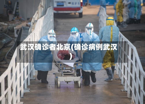 武汉确诊者北京(确诊病例武汉)-第2张图片