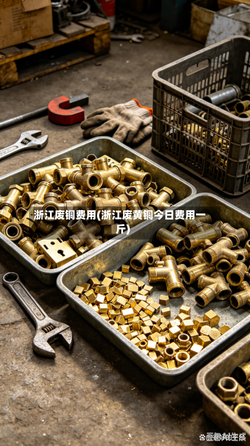 浙江废铜费用(浙江废黄铜今日费用一斤)-第2张图片