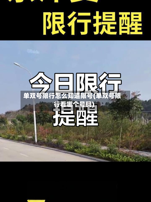 单双号限行怎么知道限号(单双号限行看哪个号码)-第2张图片