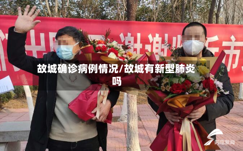 故城确诊病例情况/故城有新型肺炎吗