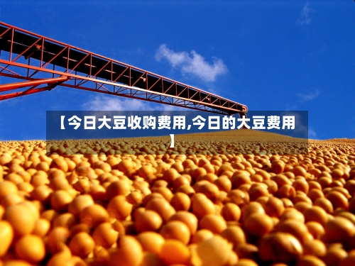 【今日大豆收购费用,今日的大豆费用】