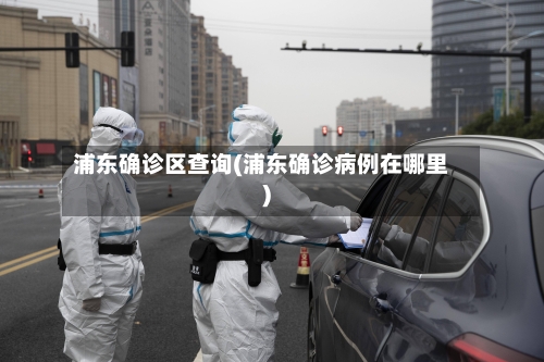 浦东确诊区查询(浦东确诊病例在哪里)-第2张图片