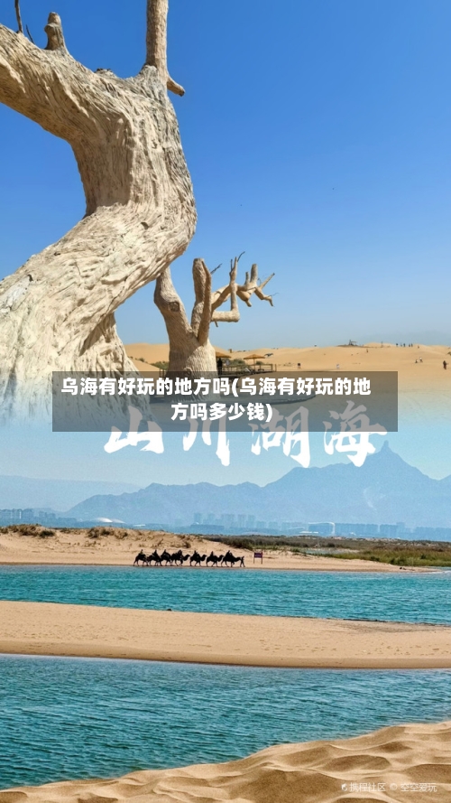 乌海有好玩的地方吗(乌海有好玩的地方吗多少钱)-第3张图片
