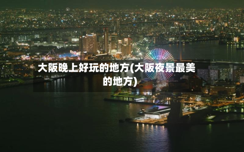 大阪晚上好玩的地方(大阪夜景最美的地方)-第2张图片