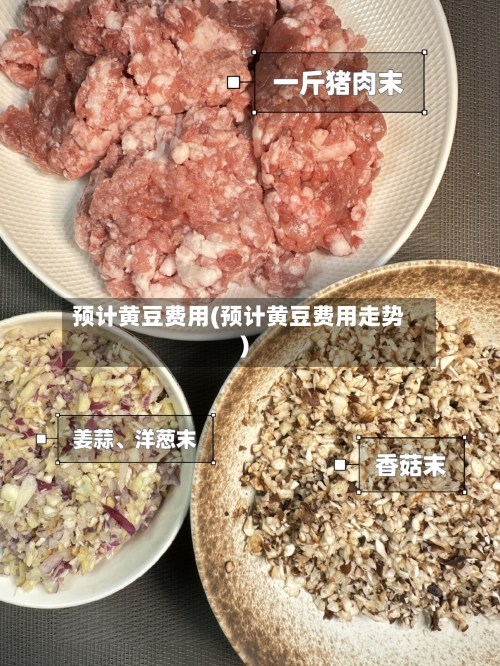 预计黄豆费用(预计黄豆费用走势)-第2张图片