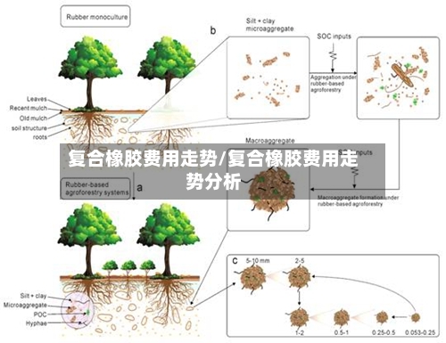 复合橡胶费用走势/复合橡胶费用走势分析