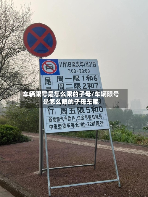 车辆限号是怎么限的子母/车辆限号是怎么限的子母车呢-第3张图片