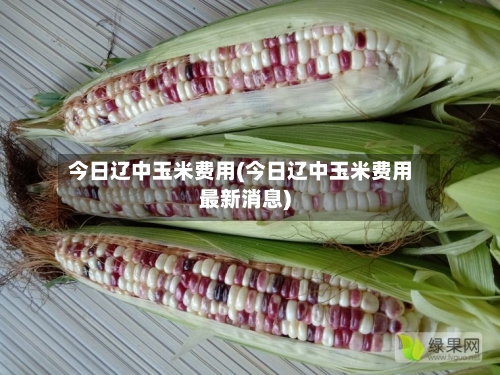 今日辽中玉米费用(今日辽中玉米费用最新消息)