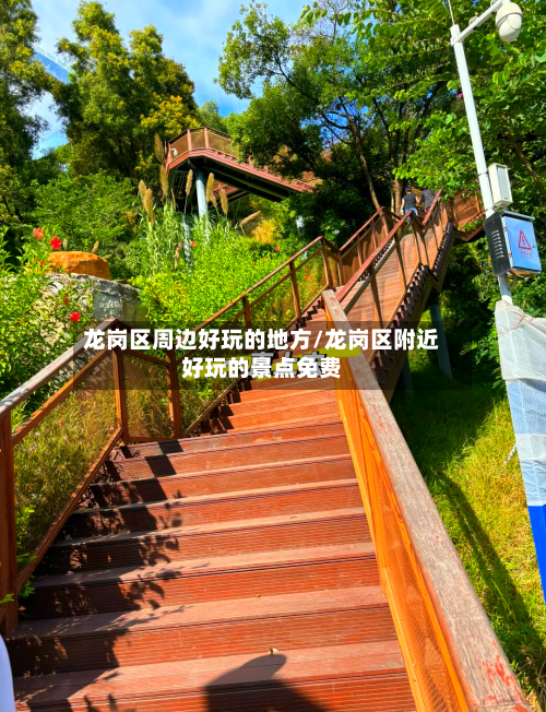 龙岗区周边好玩的地方/龙岗区附近好玩的景点免费