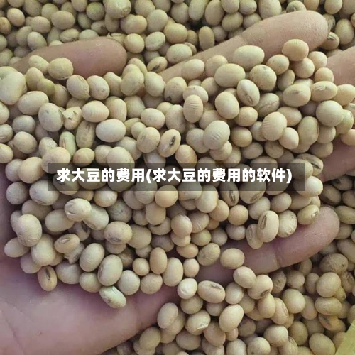 求大豆的费用(求大豆的费用的软件)-第2张图片