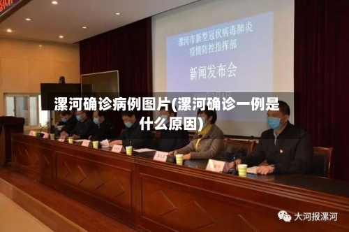 漯河确诊病例图片(漯河确诊一例是什么原因)